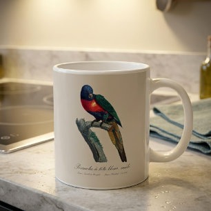 Regenbogenlori Männchen, Trichoglossus moluccanus Kaffeetasse