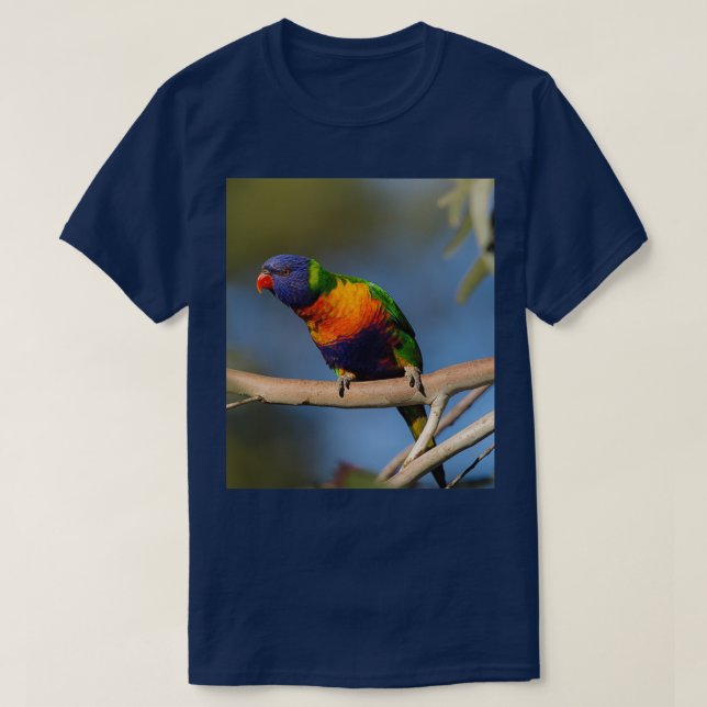 Regenbogenlorikeet 4 T-Shirt (Design vorne)