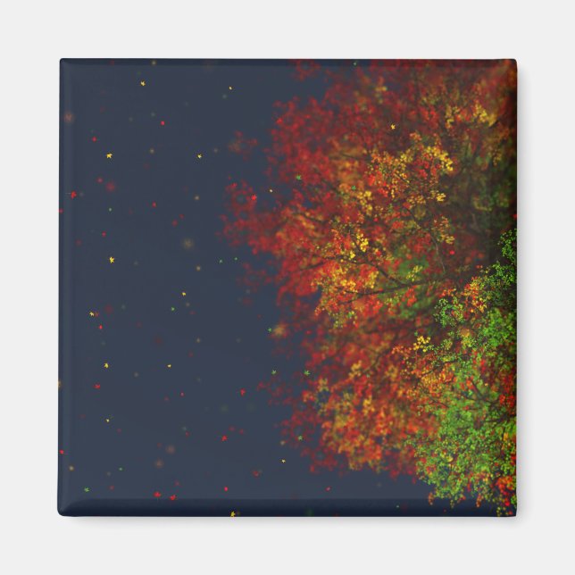 Regenbogenmagnet Magnet (Vorne)