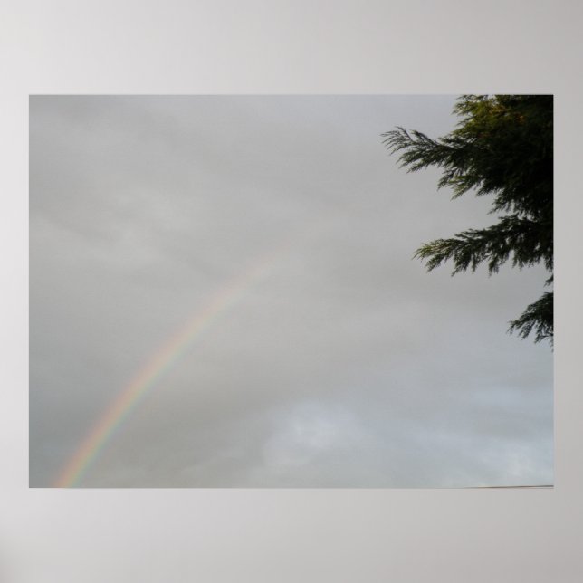 RegenbogenPrintwerbung Poster (Vorne)