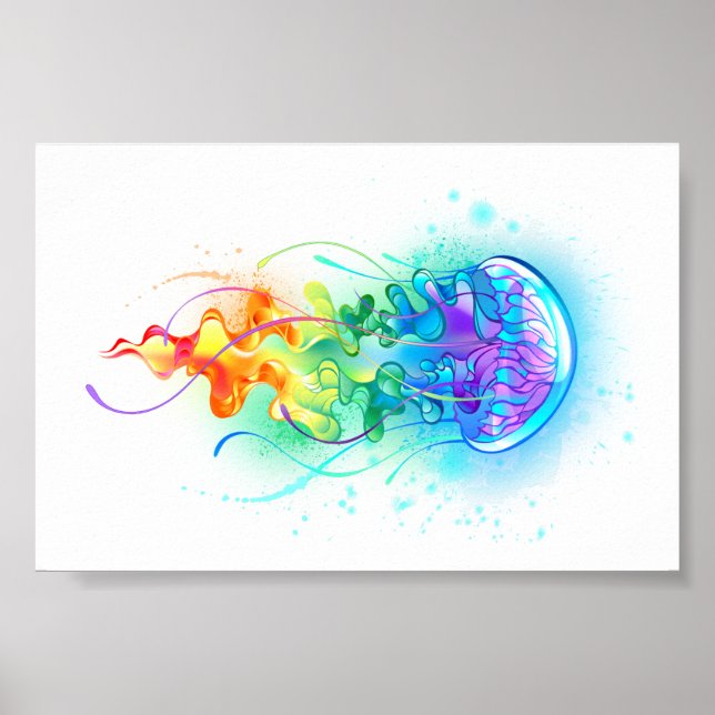 Regenbogenqualle Poster (Vorne)