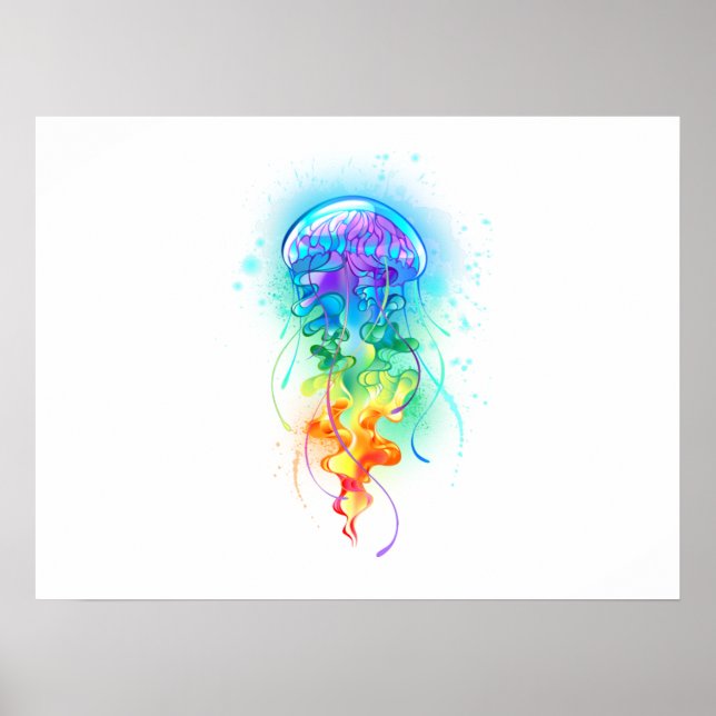 Regenbogenqualle Poster (Vorne)