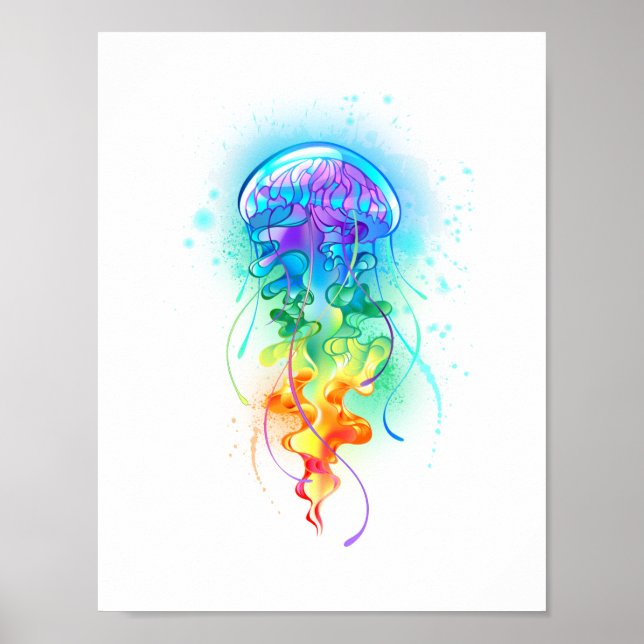 Regenbogenqualle Poster (Vorne)