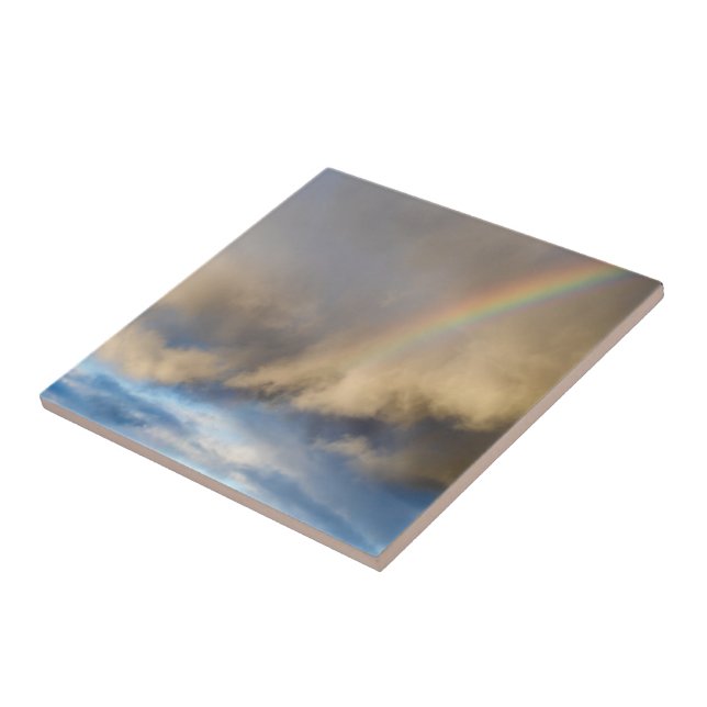 Regenbogenrebellion Fliese (Seite)