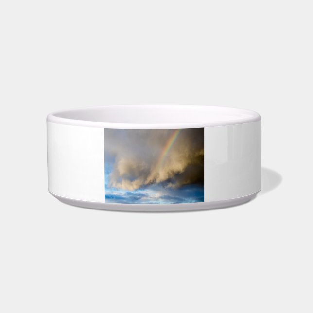 Regenbogenrebellion Napf (Vorderseite)