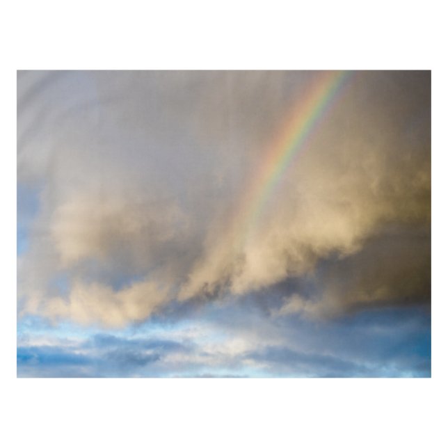 Regenbogenrebellion Tischdecke (Vorderseite (Horizontal))