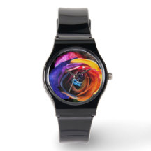 Regenbogenrose surfen
