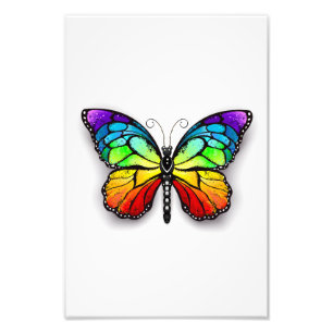 Regenbogenschmetterling Monarch Fotodruck