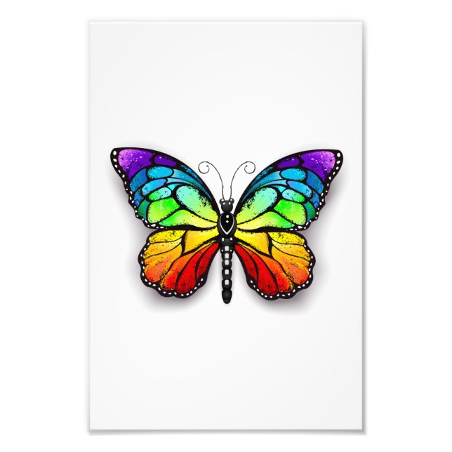 Regenbogenschmetterling Monarch Fotodruck (Vorne)