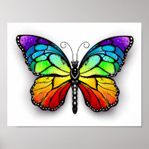 Regenbogenschmetterling Monarch Poster