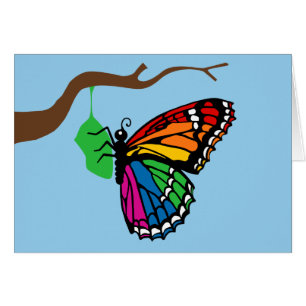 Regenbogenschmetterlinge aus Chrysalis