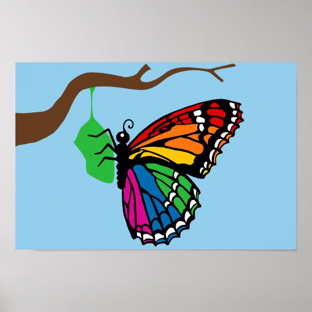 Regenbogenschmetterlinge aus Chrysalis Poster (Vorne)
