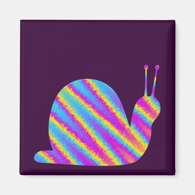 Regenbogenschnecke Magnet (Vorne)