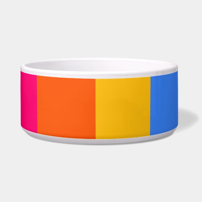 Regenbogenstreifen Napf (Vorderseite)