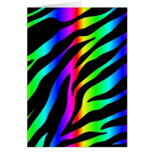Regenbogenzebra