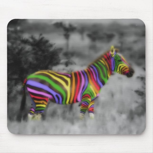 RegenbogenZebra Mousepad (Vorne)