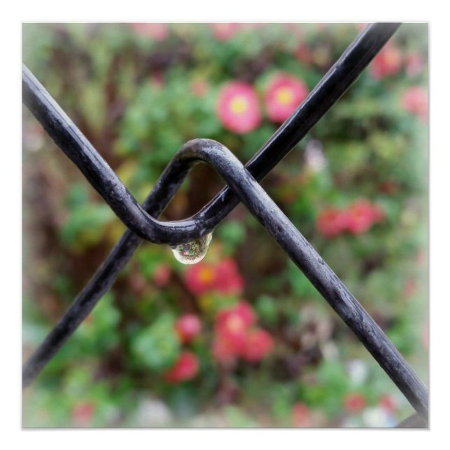 Regenfall Poster (Vorderseite)