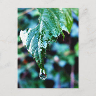 Regenfall Postkarte