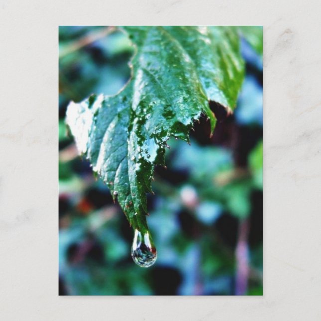 Regenfall Postkarte (Vorderseite)