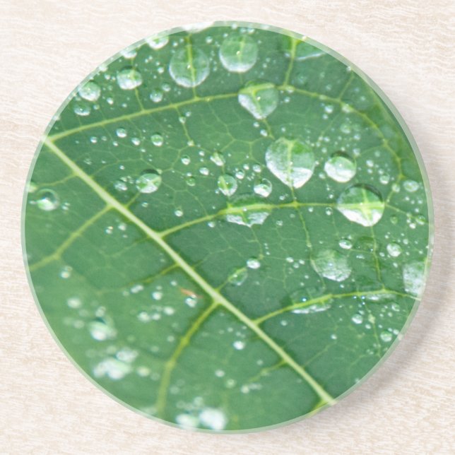 Regenfälle auf Papaya-Leaf Getränkeuntersetzer (Vorne)