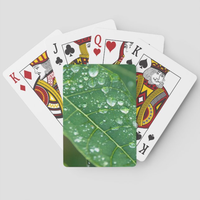 Regenfälle auf Papaya-Leaf Spielkarten (Rückseite)