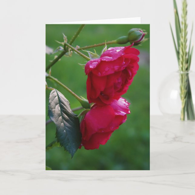 Regenfälle Karte (Vorderseite)