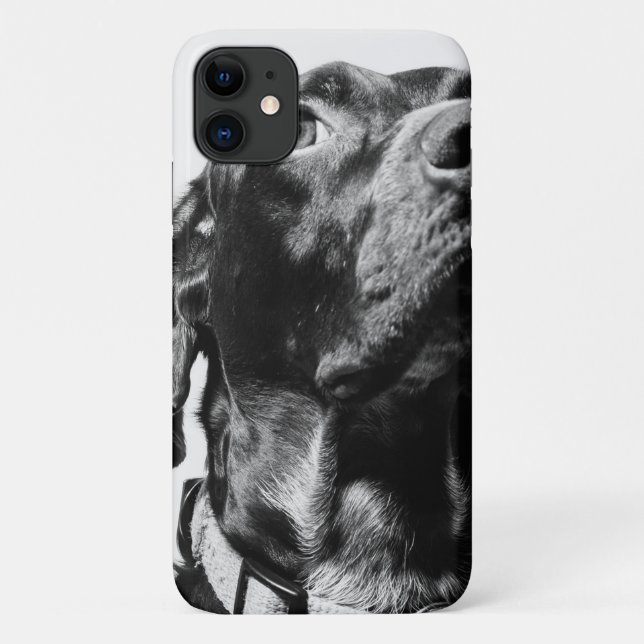Regenhund Case-Mate iPhone Hülle (Rückseite)