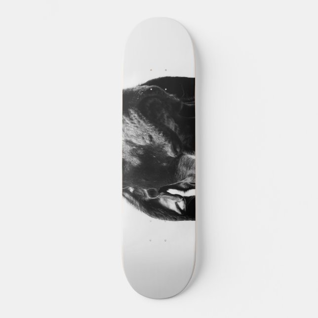 Regenhund Skateboard (Vorderseite)