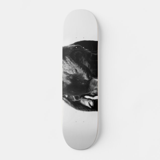 Regenhund Skateboard (Vorderseite)