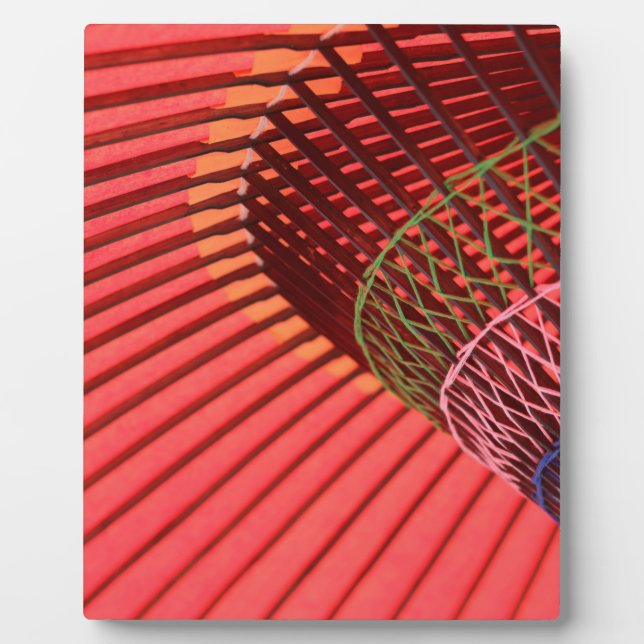 Regenschirm Fotoplatte (Vorderseite)