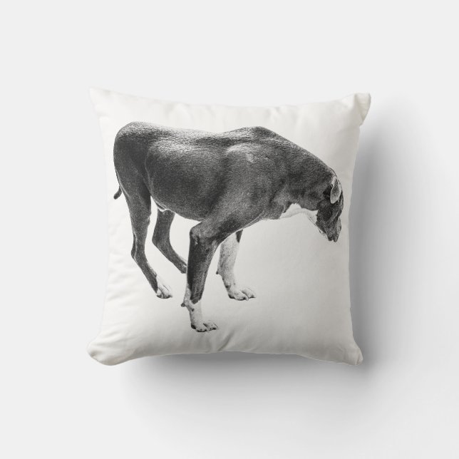 Regenschutz Kissen (Vorderseite)