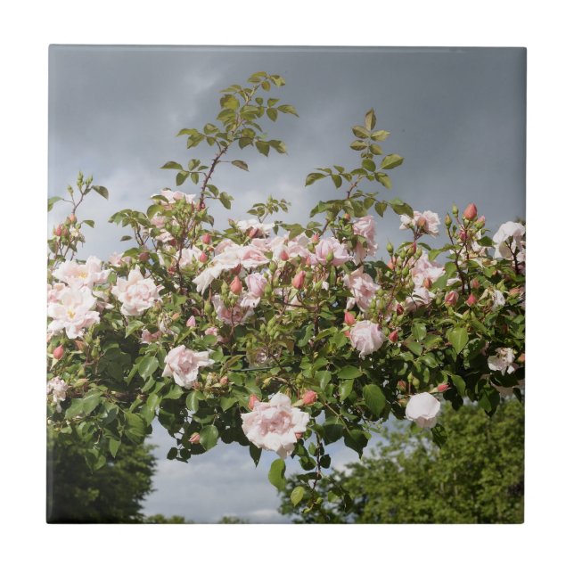 Regentag Fliese (Vorderseite)