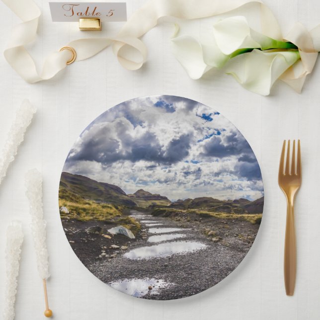 Regentag in Torres del Paine NP Pappteller (Hochzeit)