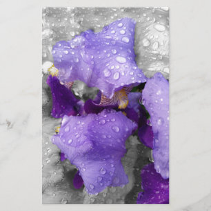 Regentropfen an Iris Briefpapier