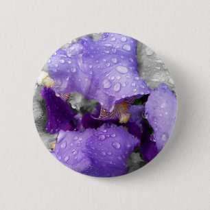 Regentropfen an Iris Button