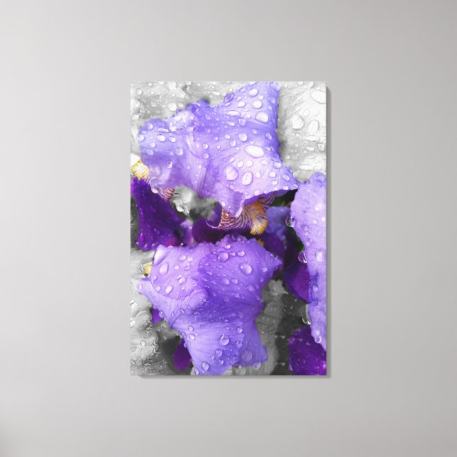 Regentropfen an Iris Leinwanddruck (Vorderseite)