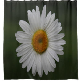 Regentropfen auf Blumenblättern Duschvorhang