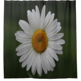 Regentropfen auf Blumenblättern Duschvorhang