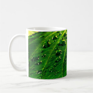Regentropfen auf einem Blatt Kaffeetasse