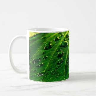 Regentropfen auf einem Blatt Kaffeetasse