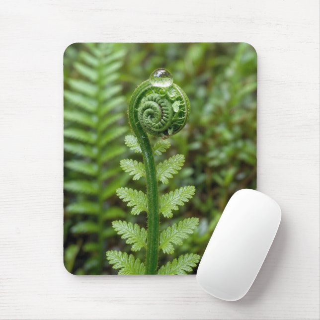 Regentropfen auf entfalteter Farn Mousepad (Mit Mouse)