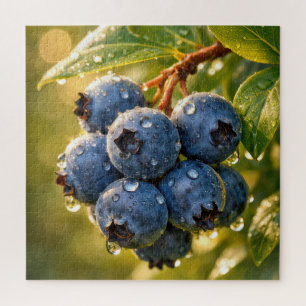 Regentropfen auf reifen Blaubeeren