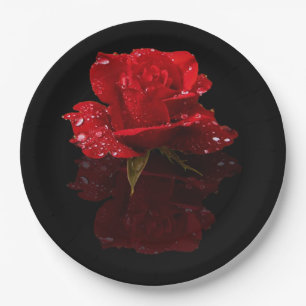 REGENTROPFEN AUF ROSE PAPPTELLER
