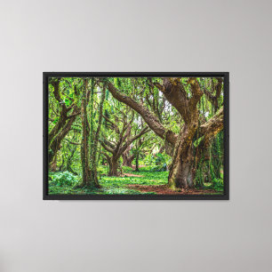 Regenwald auf Maui Leinwanddruck