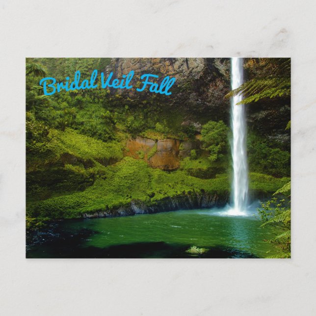 Regenwald Dschungel Wasserfall Postkarte (Vorderseite)