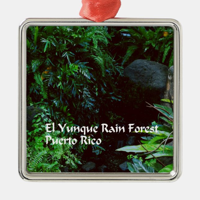 Regenwald EL Yunque Ornament Aus Metall (Vorne)