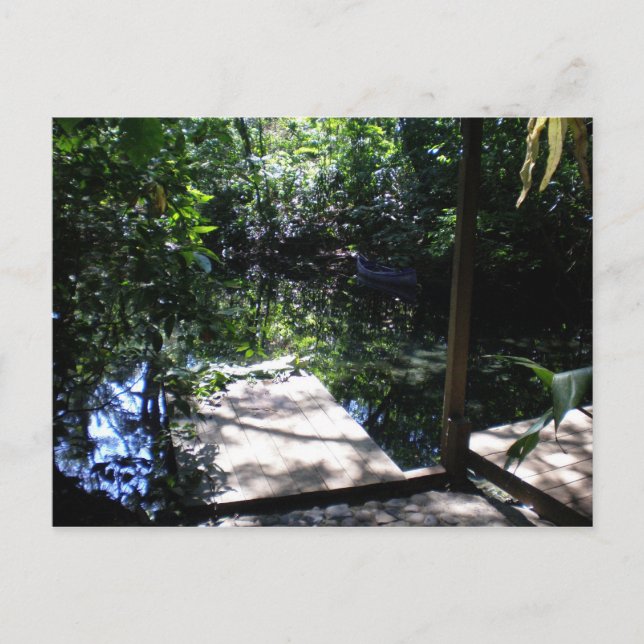 Regenwald Postkarte (Vorderseite)