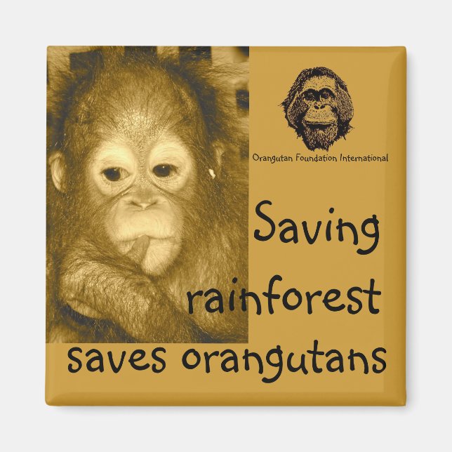 Regenwald und Orangutane Magnet (Vorne)