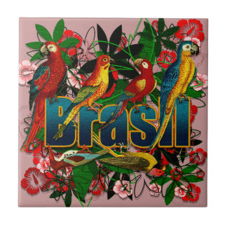 REGENWALD-Vogelkunst Brasiliens Brasilien Fliese