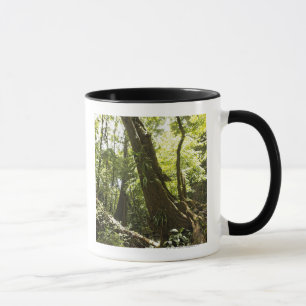 Regenwaldansicht, Dominica Tasse